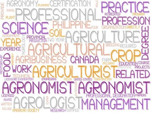 Agronomist Wordcloud Background: A Practical Design Asset for Real-World Projects
